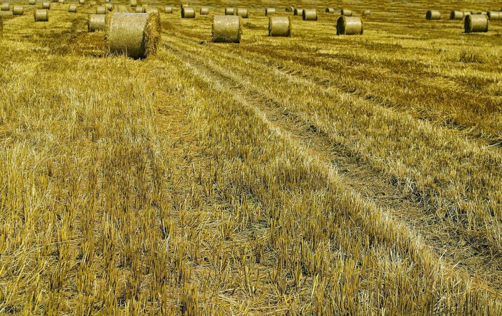 tierra factor de producción