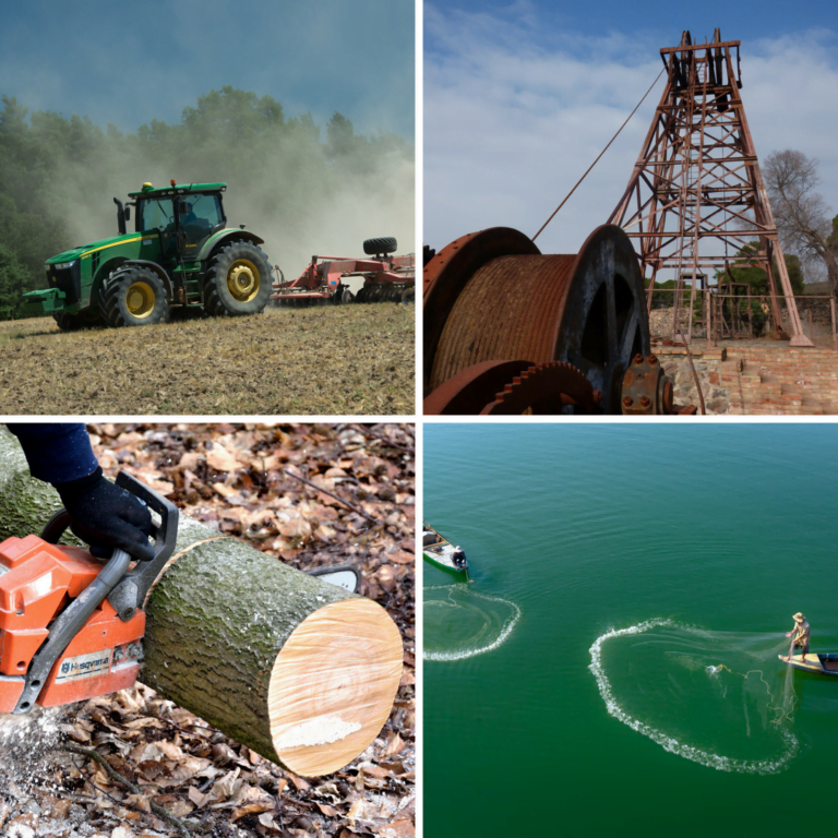 Los 5 sectores económicos de la economía 5 Los 5 sectores económicos de la economía