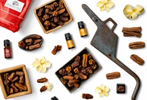 Comoras: actividades económicas y sectores productivos 1 exports of Comoros cloves ships vanilla essential oils scrap iron