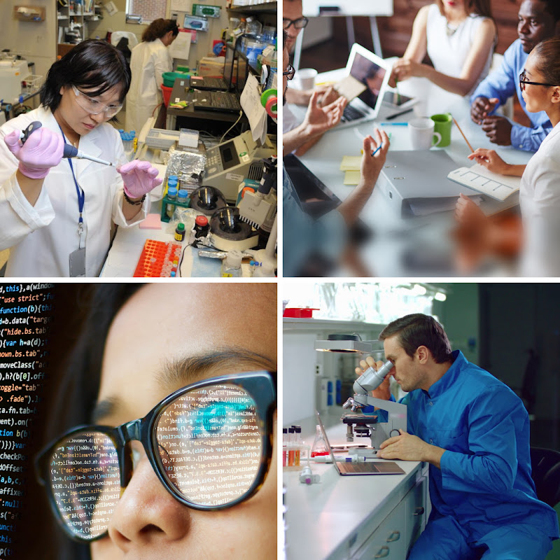 Infografía del sector cuaternario: investigación, tecnología y economía del conocimiento