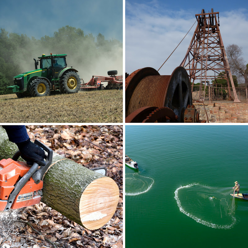 Infografía del sector primario: agricultura, minería, ganadería, pesca y silvicultura