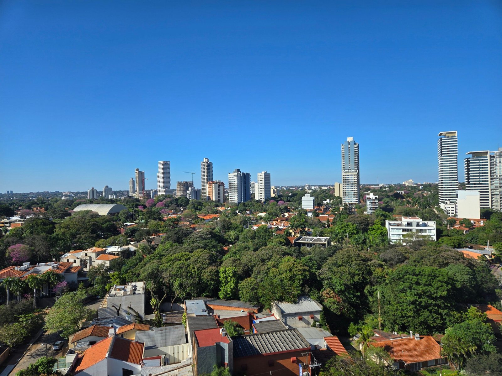 Las 10 principales empresas más grandes por ingresos en Paraguay 1 Panorámica de la ciudad de Asunción, Paraguay, con edificios y zonas verdes